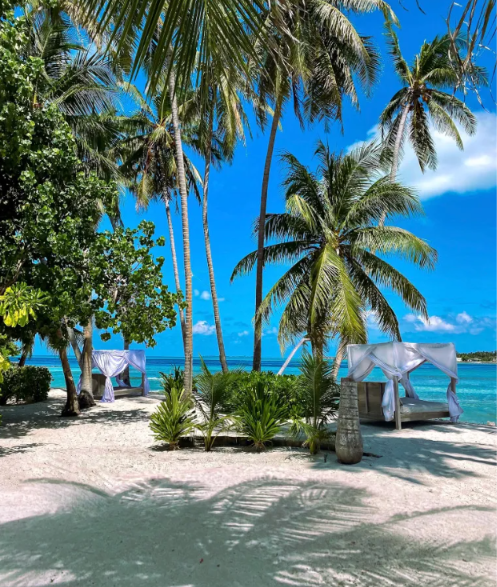 Tropical beach in the Maldives